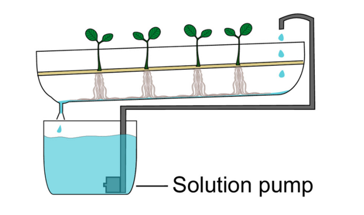 NFT水培系統原理圖