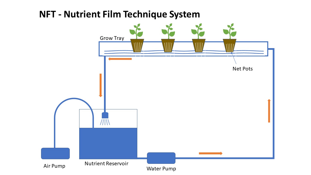 NFT水培營養(yǎng)液循環(huán)方式