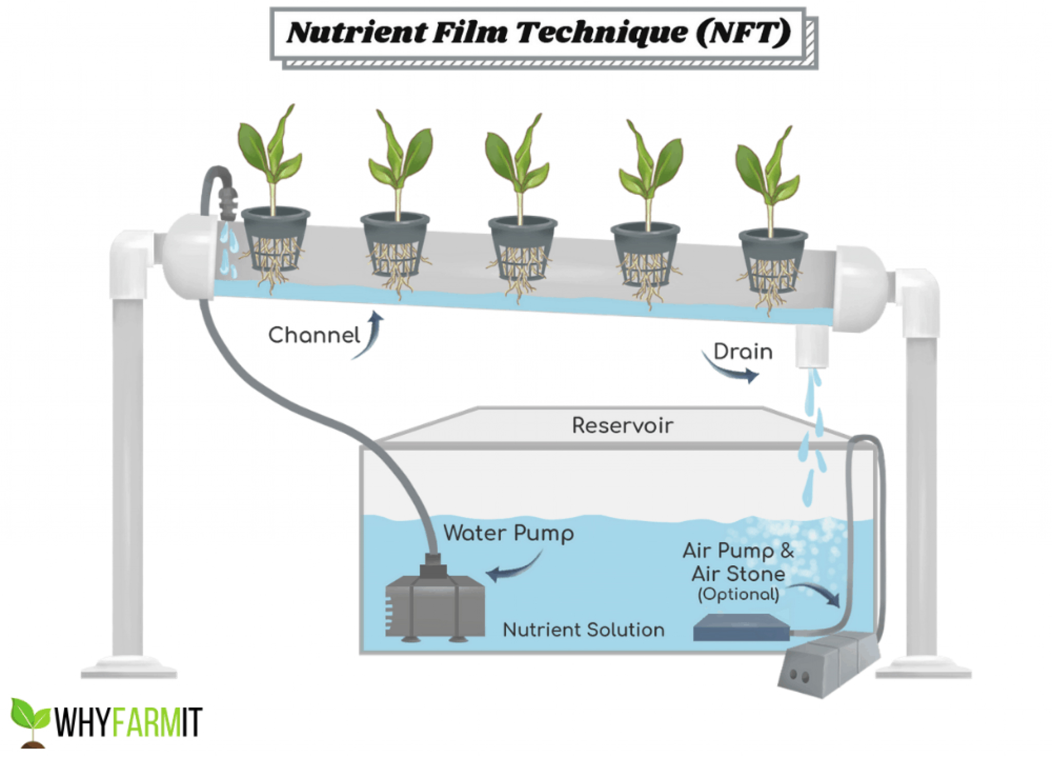 葉菜俠科技，NFT，水培示意圖